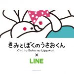 tumblr – 白と水色のカーネーション