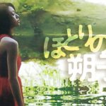 ukpd_037 – 白と水色のカーネーション