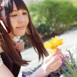 ukpd_041 – 白と水色のカーネーション