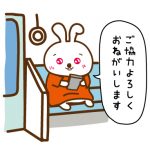 usao – 白と水色のカーネーション