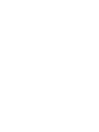 koudoku_link – 白と水色のカーネーション