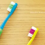 ukpd_085 – 白と水色のカーネーション