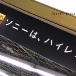 ukpd_095 – 白と水色のカーネーション