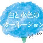 news_shiroto – 白と水色のカーネーション