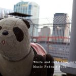 ukpd_103 – 白と水色のカーネーション