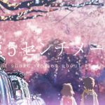 byousoku – 白と水色のカーネーション