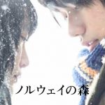 nor – 白と水色のカーネーション