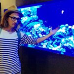 photo2 – 白と水色のカーネーション