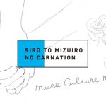 topimg_sirotomizuiro – 白と水色のカーネーション