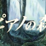 CUTTHROUGH_piano – 白と水色のカーネーション