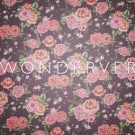 wonderver2 – 白と水色のカーネーション