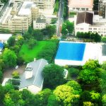 BLOGTITLE_150 – 白と水色のカーネーション