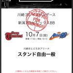 img_1380 – 白と水色のカーネーション