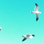 blogtitle_173