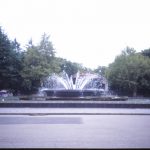 BLOGTITLE_176