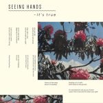 seeinghads