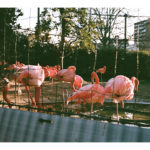 phr_005