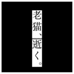 IMG_3039-2-3-4-3-2-2